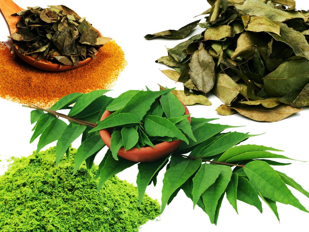 curry leaves recognize your body