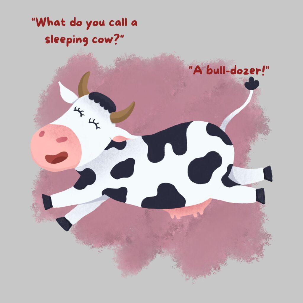cow sleep