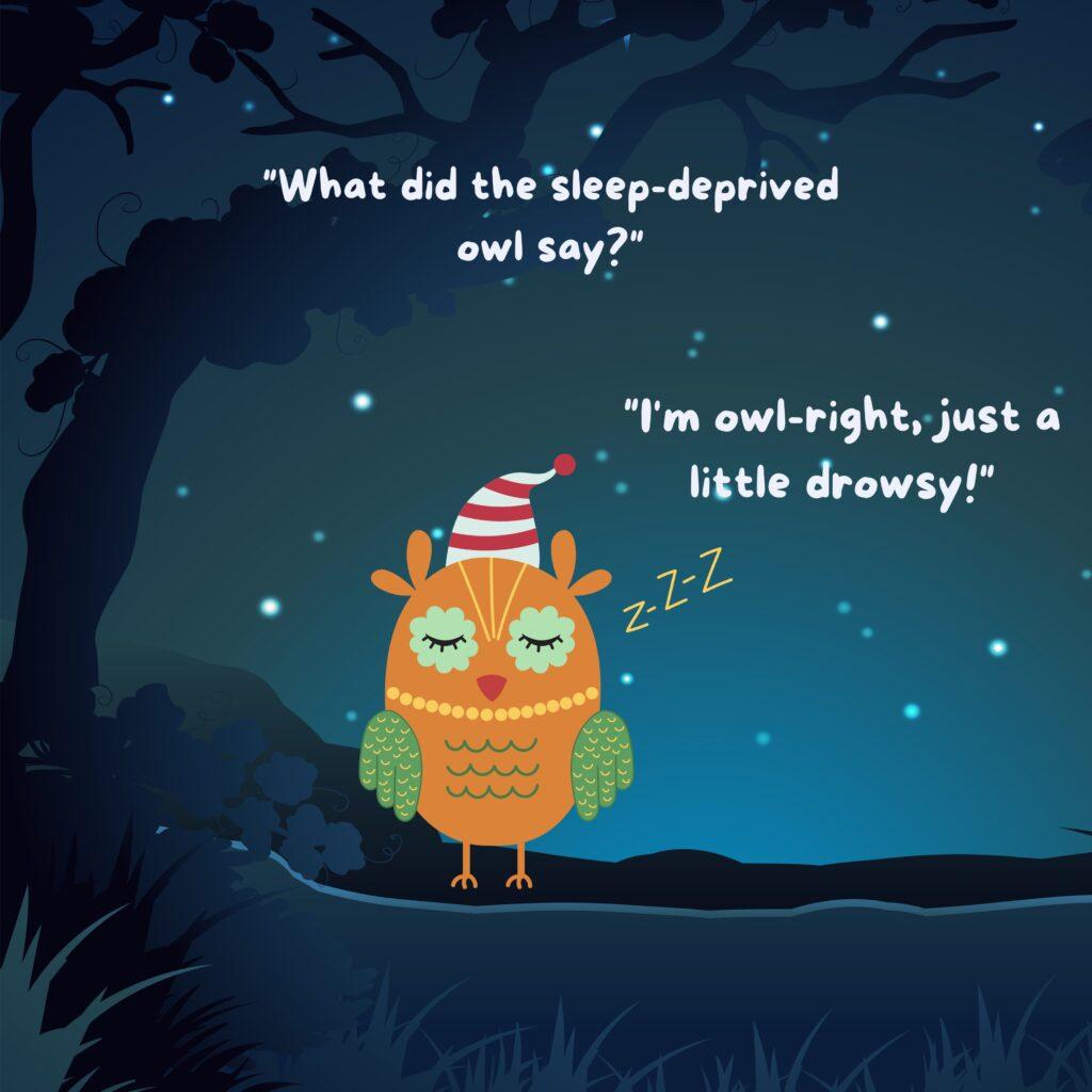 owl sleep
